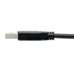 Tripp Lite U428-006 USB-C to USB-A Cable (M/M), USB 3.2 Gen 1 (5 Gbps), Thunderbolt 3 Compatible, 6 ft. (1.83 m)