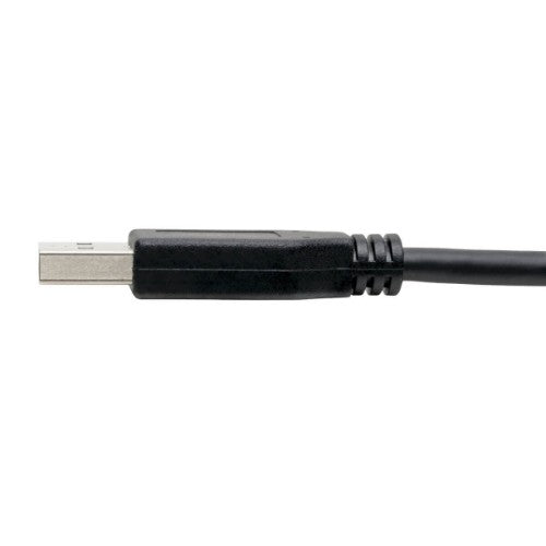 Tripp Lite U428-006 USB-C to USB-A Cable (M/M), USB 3.2 Gen 1 (5 Gbps), Thunderbolt 3 Compatible, 6 ft. (1.83 m)