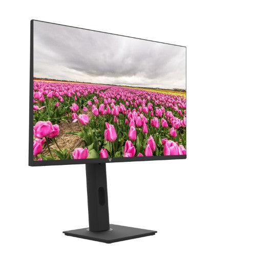V7 23.8" FHD 1920x1080 IPS LED Monitor