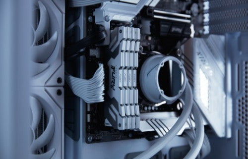 Kingston Technology FURY 24GB 8000MT/s DDR5 CL38 DIMM Renegade White