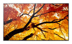 Sharp MultiSync PN-M982 Interactive flat panel 2.48 m (97.5") LED 550 cd/m² 4K Ultra HD Black 24/7