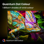 Hisense 55" A7QTUK QLED Smart AI TV with Freely