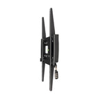 Tripp Lite DWFSC3255MUL Fixed TV Wall Mount 32-55", Heavy Duty, Security, Televisions & Monitors - Flat/Curved, UL Certified