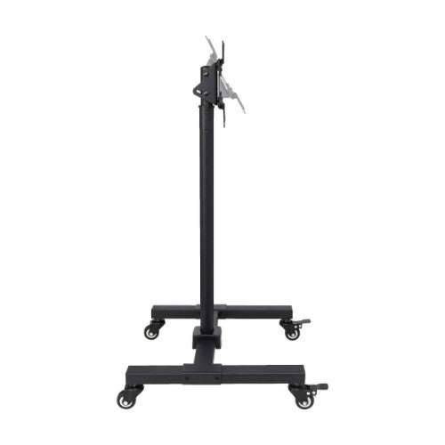 Tripp Lite DMC1342S Mobile TV Stand - Height Adjustable, 13” to 42” TVs and Monitors, Locking Casters, Black