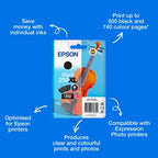 Epson C13T16P14010/250XL Ink cartridge black high-capacity, 500 pages 10.2ml for Epson Expression Photo XP-980