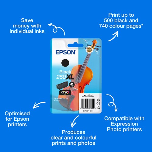 Epson C13T16P14010/250XL Ink cartridge black high-capacity, 500 pages 10.2ml for Epson Expression Photo XP-980