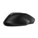 HP 255 Dual Wireless Mouse