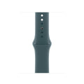 Apple MAX64ZM/A Smart Wearable Accessories Band Green Fluoroelastomer