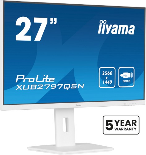 iiyama G-MASTER 27’’ QHD IPS technology panel with USB-C dock and RJ45 (LAN)