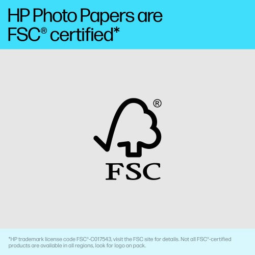 HP Advanced Photo Paper Glossy 65 lb 4 x 12 in. (101 x 305 mm) 10 sheets