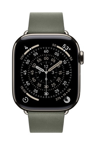 Apple 42mm Sage Grey Modern Buckle - Medium