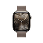 Apple 42mm Dark Taupe Modern Buckle - Small