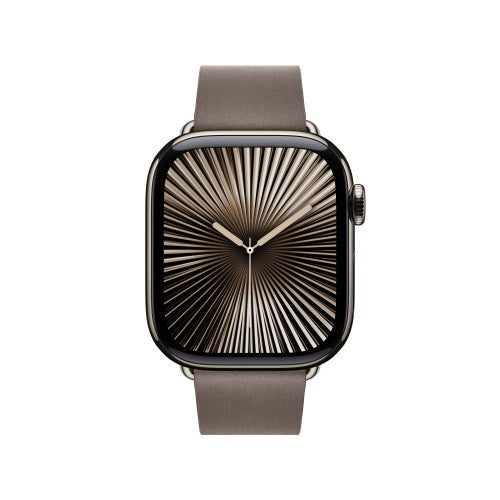 Apple 42mm Dark Taupe Modern Buckle - Large