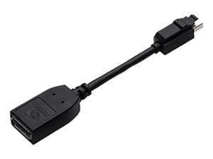 PNY Mini DisplayPort/DisplayPort Black