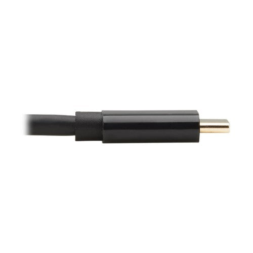 Tripp Lite U444-006-DP-BD USB-C to DisplayPort Bi-Directional Active Adapter Cable (M/M), 4K 60 Hz, HDR, Locking DP Connector, 6 ft. (1.8 m)
