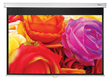 Optoma DS-1095PMG+ projection screen 2.41 m (95") 16:10