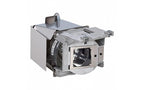 Viewsonic RLC-111 projector lamp