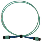 Tripp Lite N846B-01M-24-P 40/100/400G Multimode 50/125 OM3 Fiber Optic Cable (24F MTP/MPO-PC F/F), LSZH, Aqua, 1 m (3.3 ft.)