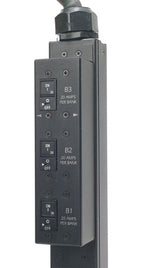 APC NetShelter Basic Rack PDU, Zero U, 12.5kW, 208V, 30 C13 and 6 C19 outlet, 10ft input cord