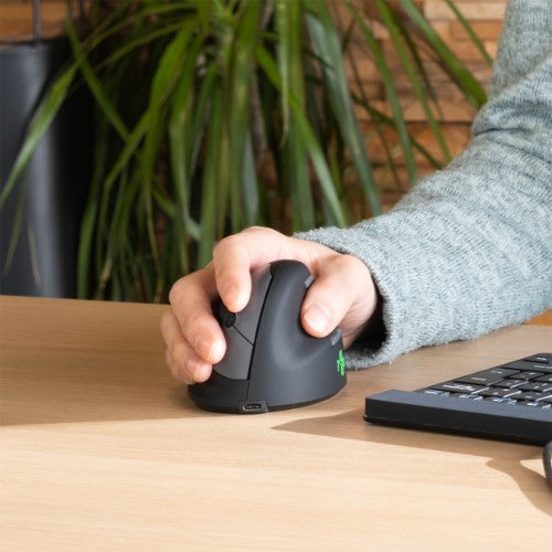 R-Go Tools Ergonomic mouse R-Go HE Break with break software, medium (hand size 165-185 mm), right-handed, Bluetooth, black