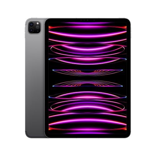 Apple iPad Pro 4th Gen 11in M2 Wi-Fi + Cellular 256GB - Space Grey