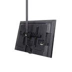 StarTech.com TV Ceiling Mount - Full-Motion Universal Hanging Single Screen Mount with Adjustable Telescopic Long Pole - Tilt / Swivel - VESA Bracket for 32”-75" Displays