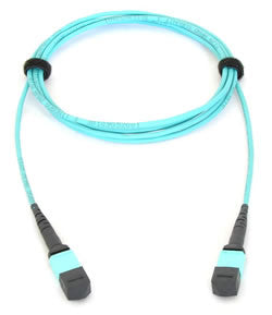 Allied Telesis AT-MTP12-5 fibre optic cable 5 m MTP
