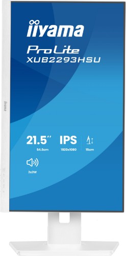 iiyama ProLite 21.5” IPS monitor with a three-side borderless design, integrated USB hub, 100Hz refresh rate and height-adjustable stand