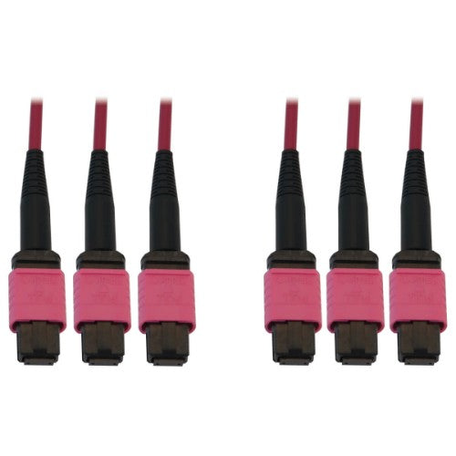 Tripp Lite N858B-10M-3X8MG 40/100/400G Multimode 50/125 OM4 Fiber Optic Cable (3x8F MTP/MPO-PC F/F), LSZH, Magenta, 10 m (32.8 ft.)