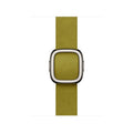 Apple 42mm Chartreuse Modern Buckle - Large