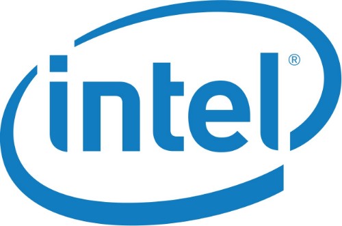 Intel AXXADPVIDCBL VGA cable VGA (D-Sub)