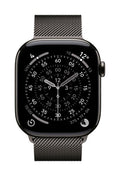 Apple MGJ74ZM/A smart wearable accessory Band Slate colour Stainless steel