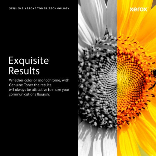 Xerox 106R02231 Toner-kit yellow high-capacity, 6K pages for Xerox Phaser 6600