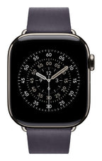 Apple 42mm Midnight Purple Modern Buckle - Large