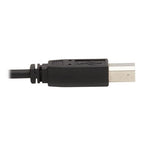 Tripp Lite DisplayPort KVM Cable Kit, 3 in 1 - 4K DisplayPort, USB, 3.5 mm Audio (3xM/3xM), 4:4:4, 1.83 m, Black