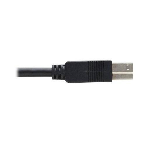 Tripp Lite U328F-30M USB 3.2 Gen 1 Plenum-Rated Fiber Active Optical Cable (AOC) - 5 Gbps, (A to B M/M), Black, 30 m