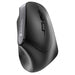 CHERRY MW 4500 Wireless 45 Degree Mouse, Black, USB