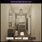Philips Hue Essential WCA 806 A60 E27 2kit EU