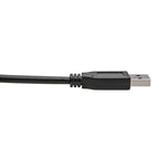 Tripp Lite U428-C03-G2 USB-C to USB-A Cable (M/M), USB 3.2 Gen 2 (10 Gbps), USB-IF Certified, Thunderbolt 3 Compatible, 3 ft. (0.91 m)