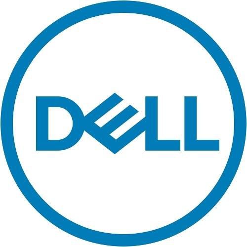 DELL 345-BGNK internal solid state drive 2.5" 1.6 TB SAS