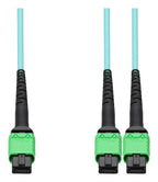 AddOn Networks ADD-AMPO-2AMPO5M5OM4LZ InfiniBand/fibre optic cable 5 m MPO 2x MPO OFNG Aqua colour, Green