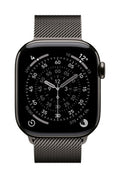 Apple 42mm Slate Milanese Loop