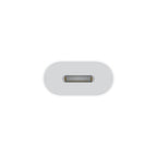 Apple USB-C to Lightning Adapter