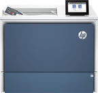 HP Color LaserJet Enterprise 6700dn Printer