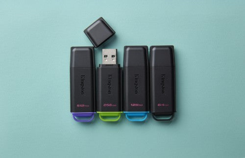 Kingston Technology DataTraveler 256GB Portable USB 3.2 Gen 1 Exodia Black/Green