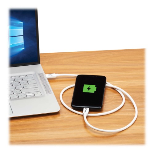 Tripp Lite U521-1P0M-WH USB cable USB4 Gen 2x2 1 m USB C White