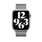 Apple 45mm Silver Milanese Loop