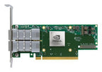 Nvidia ConnectX-6 InfiniBand Internal Fiber 100000 Mbit/s