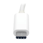 Tripp Lite U444-06N-VGA-AM USB-C to VGA Adapter with Alternate Mode - DP 1.2