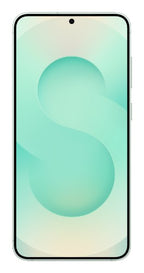 Samsung Galaxy S25+ 17 cm (6.7") Dual SIM Android 15 5G USB Type-C 12 GB 256 GB 4900 mAh Mint colour